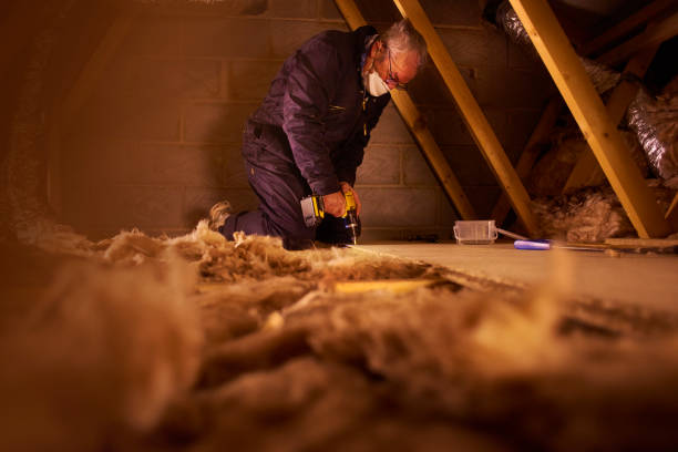 Professional Insulation Installation & Removal in Clarksville, TN